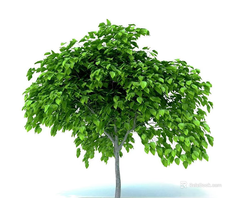 Lush Green Arbor with Vibrant Foliage and Strong Healthy Trunk 3d model 