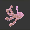 Golden Metal Skeleton Hand Decorative Home Living Accessory With Dark Reflective Background