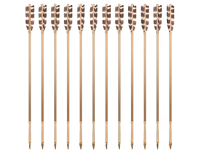 Traditional Feathered Arrows As Ancient Weapon With Metal Shafts And Sharp Arrowheads 3d model