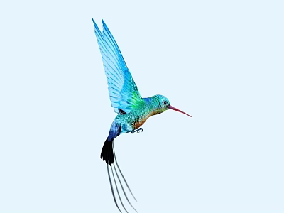 Flying Vibrant Hummingbird With Blue Green Feathers Red Beak Black Tail Against Light Blue Sky 3d model