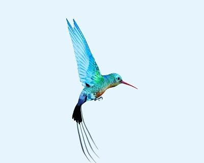 Flying Vibrant Hummingbird With Blue Green Feathers Red Beak Black Tail Against Light Blue Sky 3d model