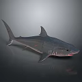 Detailed Blue Gray Shark With Red Mouth Accents 3D Rendered On Dark Gradient Background