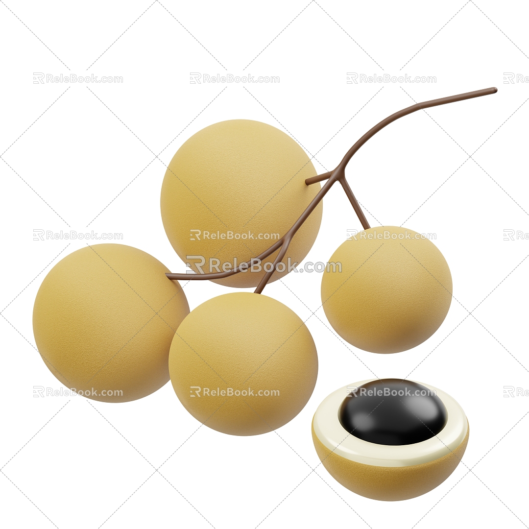 Modern Longan Fruit Cartoon Fruit 3d model