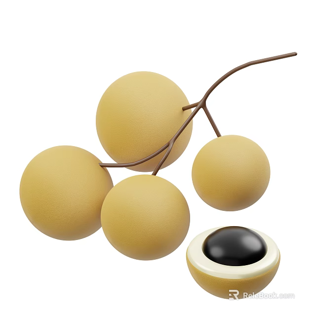 Ripe Yellow Longan Fruits On Branch With Cut Open One Revealing Black Seed Inside 3d model 