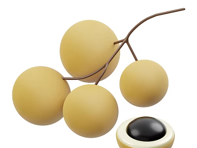 Ripe Yellow Longan Fruits On Branch With Cut Open One Revealing Black Seed Inside 3d model