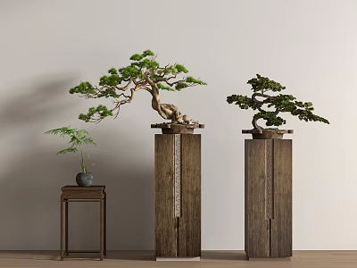 New Chinese Pine Bonsai Pohan Pine Potted Plant 3d model