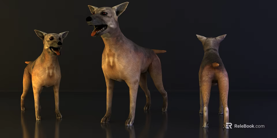 Three Reptile 3D Models Showing Front Side And Back Views With Detailed Features 3d model 