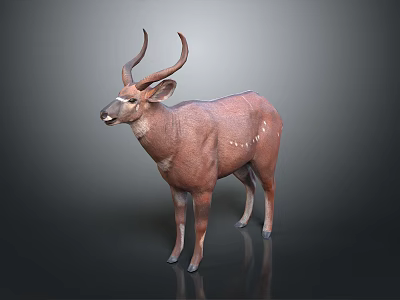 Realistic 3D Model of Standing Brown Antelope With White Spots and Curved Horns 3d model