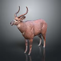 Realistic 3D Model of Standing Brown Antelope With White Spots and Curved Horns