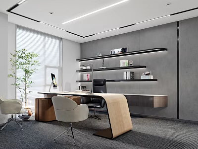 Modern Office Interior Design With Desk Chair Shelves Green Plant And Window 3d model