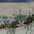Outdoor Floral Backdrop With Large White Flowers Surrounding Plants Grassland And Sky Clouds