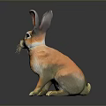 Orange Brown Rabbit Figurine With Large Ears Whiskers Sitting On Shiny Black Background