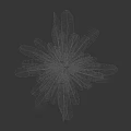 Lush Green Fern Plant With Radiating Wavy Edge Leaves In Dark Background