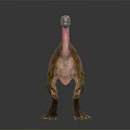 Realistic Colorful Sailback Dinosaur 3D Model in Standing Pose with Detailed Textures