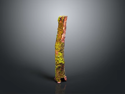 Green Moss Plant Growing On Weathered Wood With Natural Texture And Earthy Tones 3d model