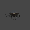 Black Shiny Beetle Insect With Oval Body And Long Legs
