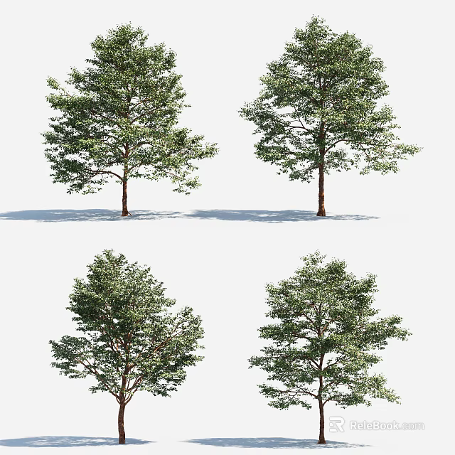 Arbor Trees With Various Shapes Lush Green Foliage And Brown Trunks 3d model