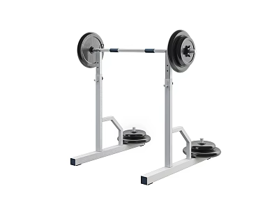 Sturdy Barbell Rack With Weight Plates For Home Gym Fitness Training 3d model
