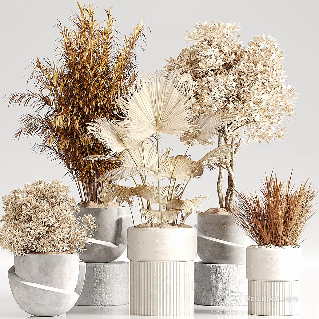 Various Decorative Potted Plants With Natural Gray And White Ceramic Pots 3d model 