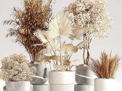 Various Decorative Potted Plants With Natural Gray And White Ceramic Pots 3d model