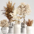 Various Decorative Potted Plants With Natural Gray And White Ceramic Pots