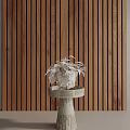 Side 3d model