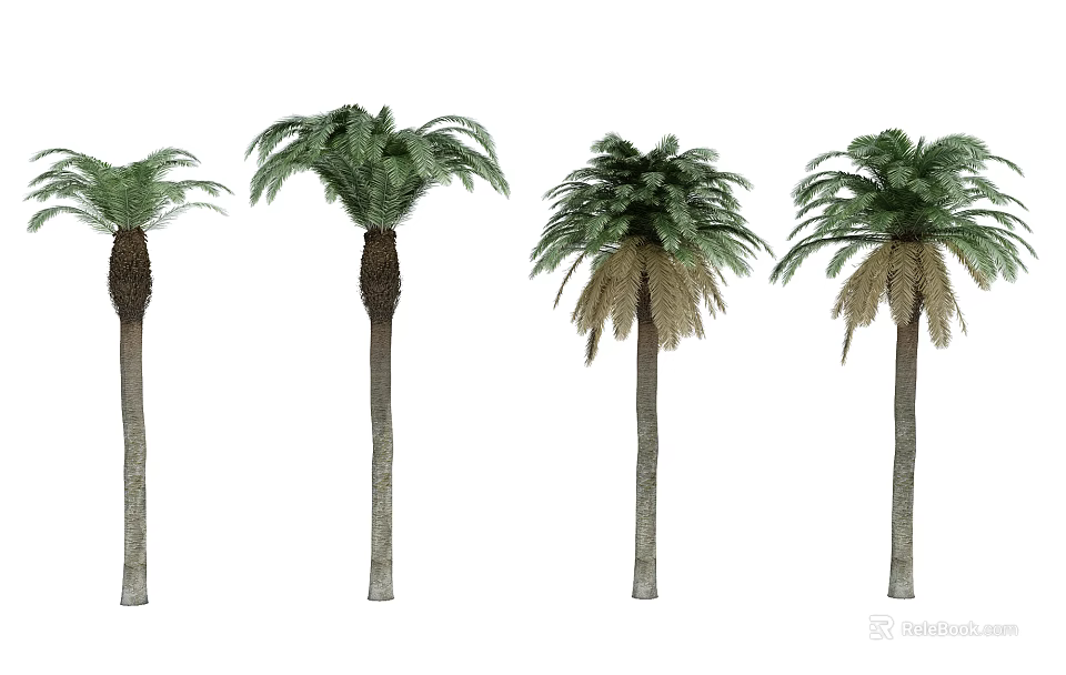 Tall Palm Trees With Green Fronds And Straight Trunks In Row 3d model 