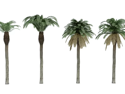 Tall Palm Trees With Green Fronds And Straight Trunks In Row 3d model