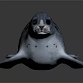 Blue Gray Spotted Seal On Sleek Surface With Reflection And Lighting