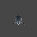 Gray Dolphin With Black Dorsal Fin Swimming In Underwater Environment
