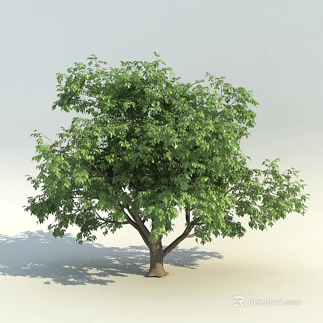 Lush Green Arbor With Dense Foliage And Strong Trunk In Bright Light 3d model 