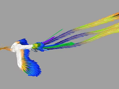 Colorful Flying Bird With Vibrant Feathers Long Tail And Bright Colors 3d model