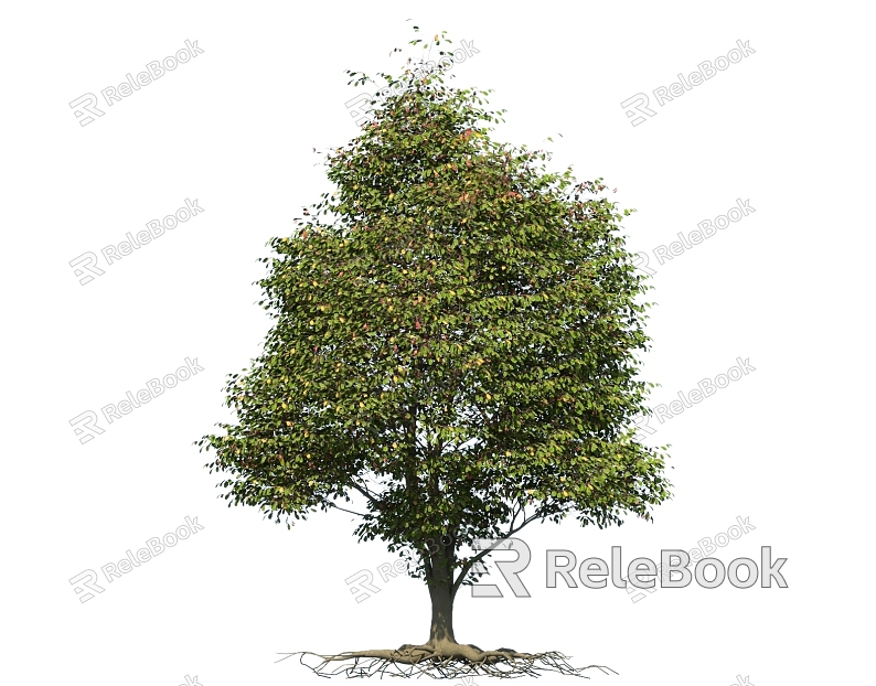 Tree Pond Flower Garden Trees Landscape Trees model