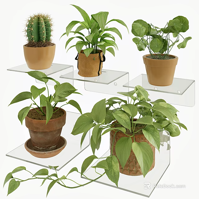 Elegant Wall Decor with Multiple Transparent Glass Shelves Holding Potted Green Plants 3d model 