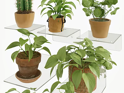Elegant Wall Decor with Multiple Transparent Glass Shelves Holding Potted Green Plants 3d model
