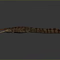 Crocodile Alligator Nile Crocodile carnivore reptile cold-blooded animal reptile 3d model