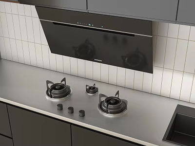 Modern Kitchen Appliances With Gas Stove Range Hood And Stainless Steel Countertop 3d model