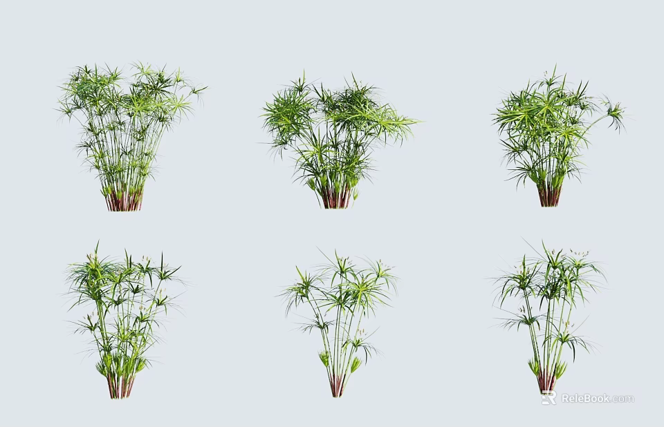 Various Potted Green Plants with Lush Leaves for Indoor Decoration and Home Decor 3d model 