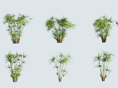 Various Potted Green Plants with Lush Leaves for Indoor Decoration and Home Decor 3d model