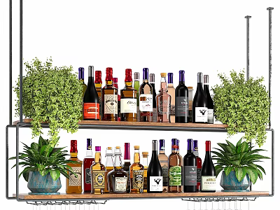 Decorative Vases With Green Plants On Shelf With Various Wine Bottles 3d model
