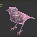 Peregrine Falcon Sparrow Pigeon Wingbird Pearl Bird Hummingbird Flamingbird Bird Bird Animal 3d model