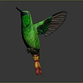 Green Hummingbird With Long Beak And Spread Wings Flying In Air