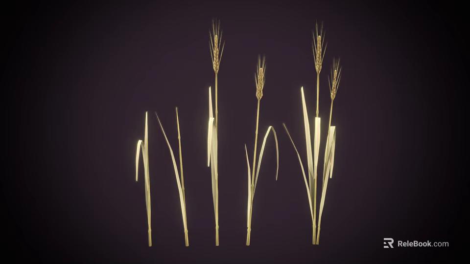 Golden Wheat Ears And Green Grass Standing On Dark Background Scene 3d model 