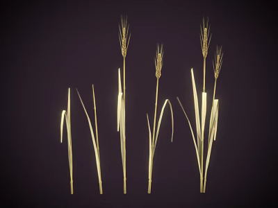 Golden Wheat Ears And Green Grass Standing On Dark Background Scene 3d model
