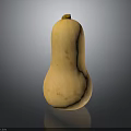 Fresh Light Yellow Butternut Squash Isolated With Spots On Black Background