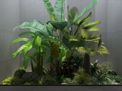 Indoor Green Plants With Broad Banana Leaves And Palm Leaves Against Gray Wall Background 3d model
