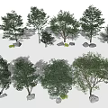Various Arbor Trees In Different Sizes With Stones And Small Plants 3d model