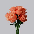 Elegant Vase with Bunch of Orange Roses and Green Stems Leaves on Gray Background