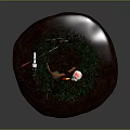 Traditional Hunting Weapons Including Bow Arrows And Axe With Skull On Green Grass