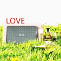 Perfume Cosmetics Placed on Green Grass with Yellow Flowers LOVE Sign and Pink Box